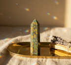 Anksiyete Detoksu Seti